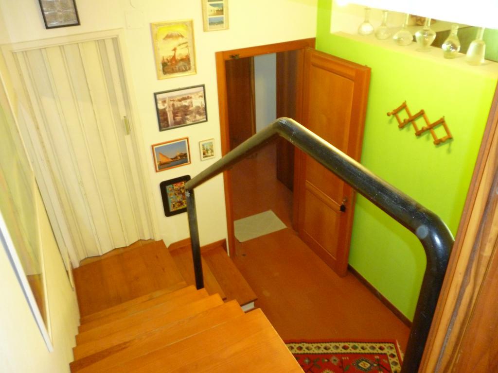 Il Geranio Tirrenia Quarto foto
