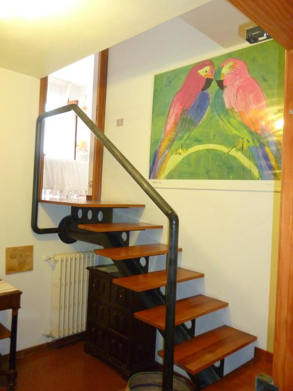 Il Geranio Tirrenia Quarto foto
